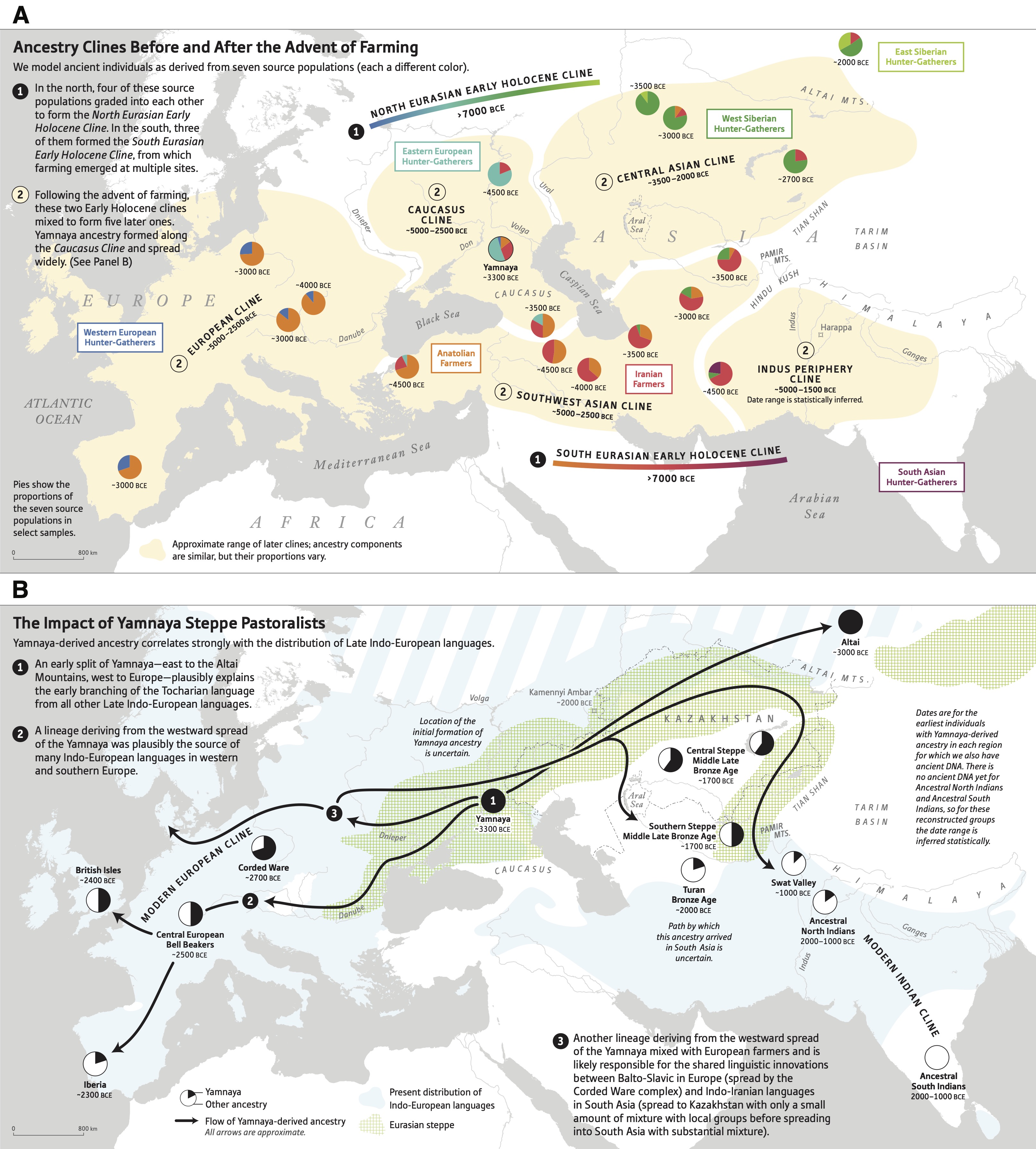 narasimhan2019formation