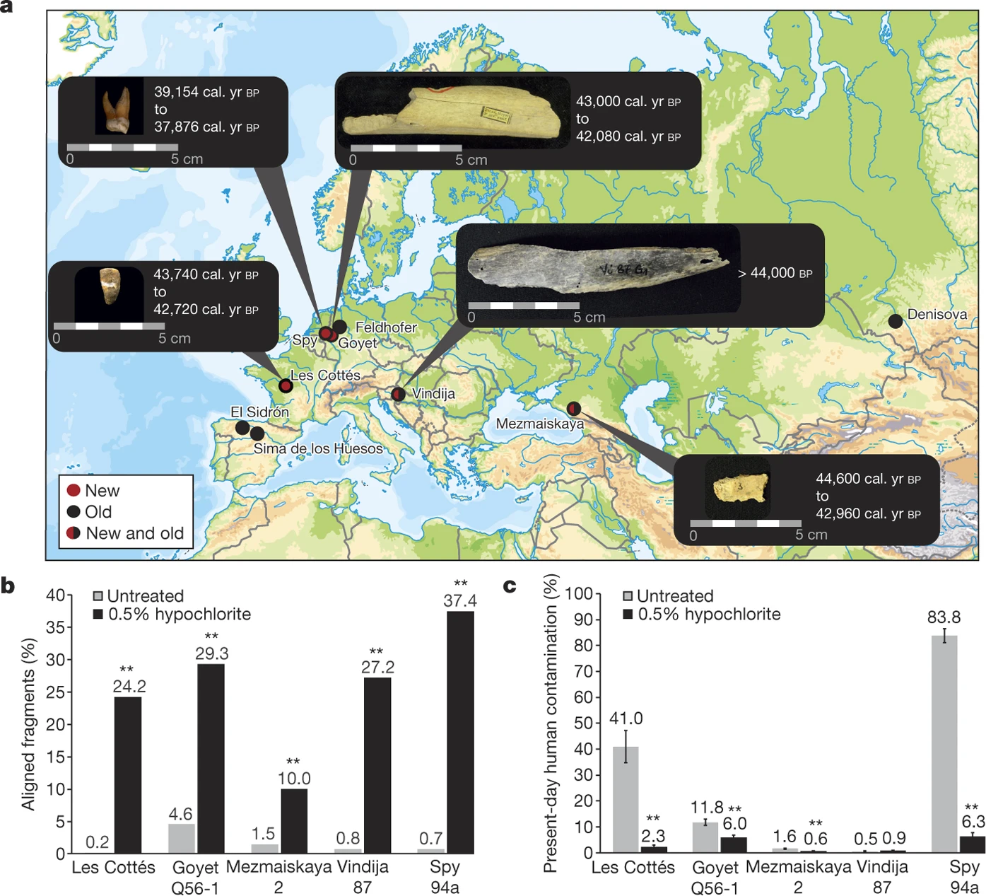 narasimhan2019formation